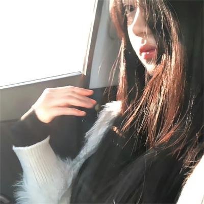 血鲨