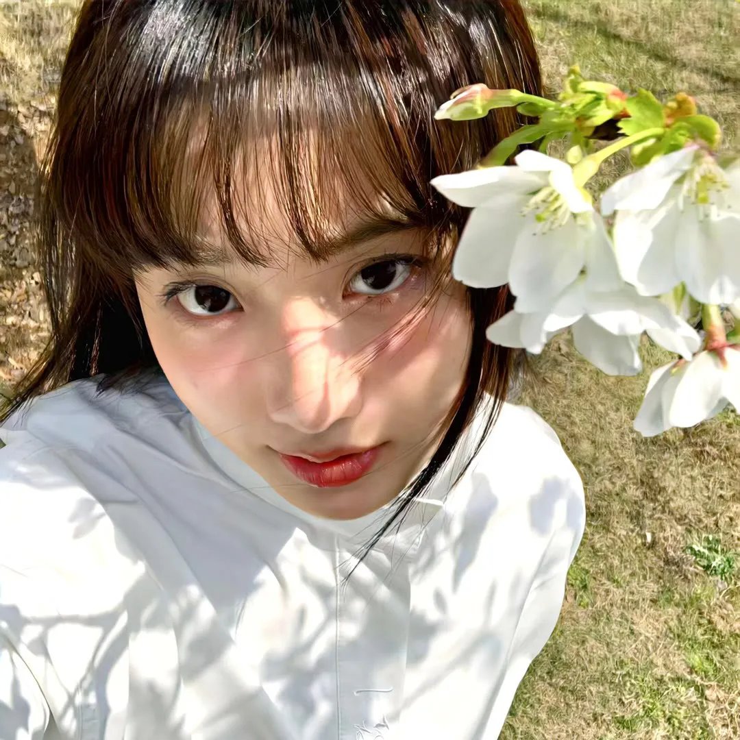 怜情蜜意